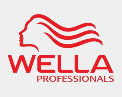 ويلا بروفيشنال